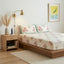 Palm & Petal Cotton Bedsheet
