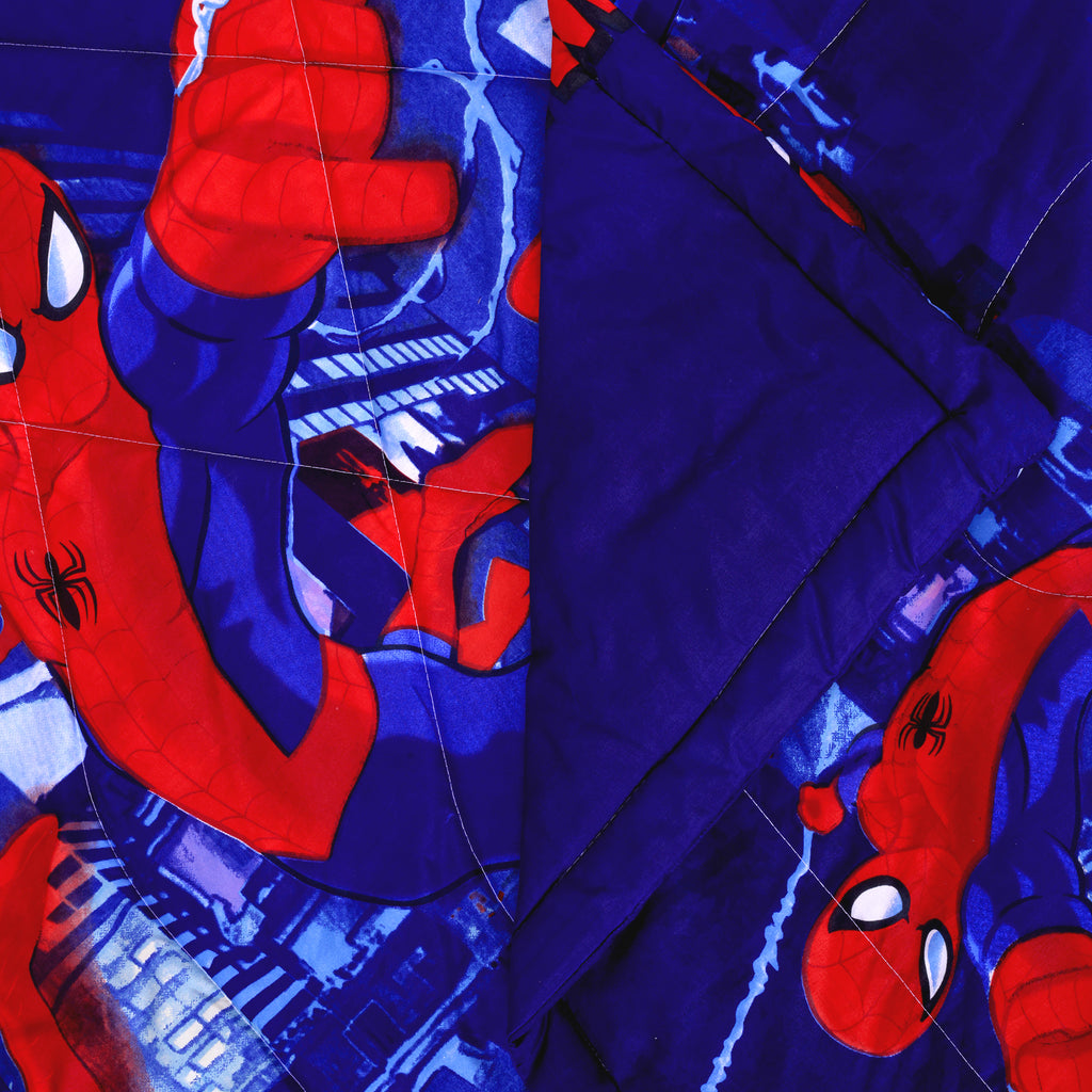 Spiderman Cozy comforter