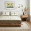 Cotton Courtyard Cotton Bedsheet